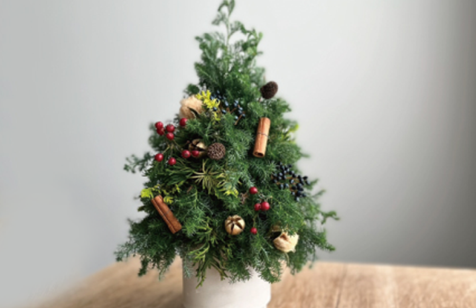 針葉樹に飾り付けをして<br>卓上クリスマスツリーをつくろう